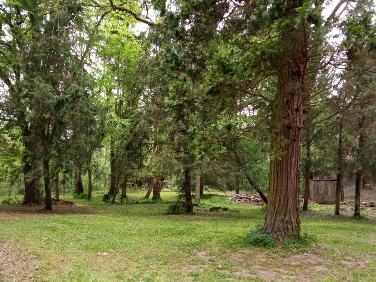 Kalmár Vendégház-Vadászház Tornyiszentmiklos Exterior foto
